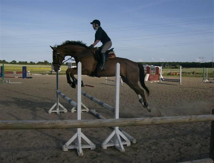 Holstener Miss Money Penny Solgt:( - Spring træning hos Mia. billede 8