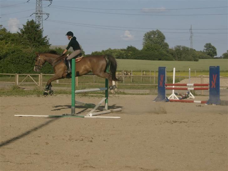 Holstener Miss Money Penny Solgt:( - Tempo spring. billede 9