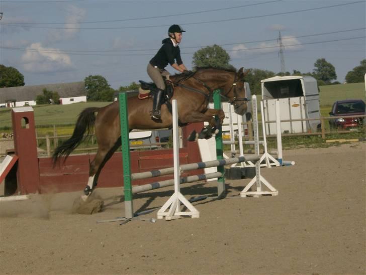 Holstener Miss Money Penny Solgt:( - Tempo spring. billede 10