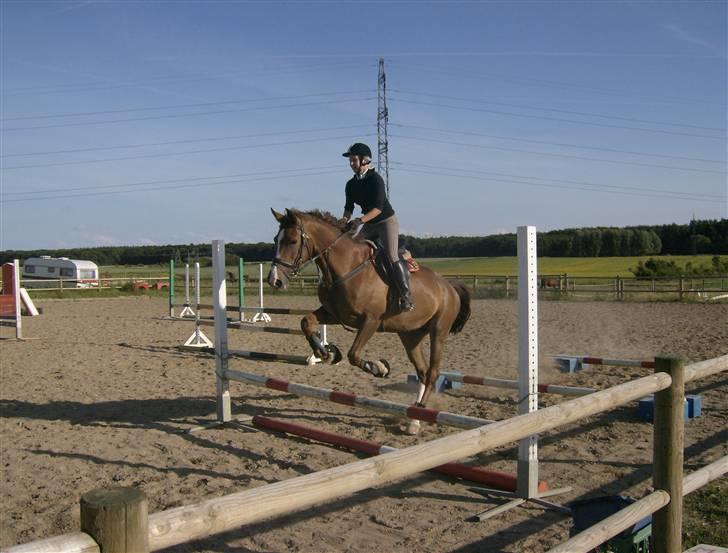 Holstener Miss Money Penny Solgt:( - Tempo spring. billede 11