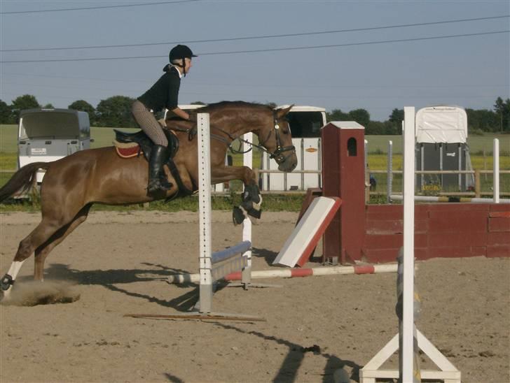 Holstener Miss Money Penny Solgt:( - Tempo spring. billede 13