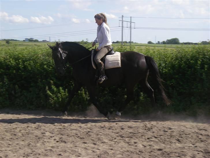Oldenborg Labine Hjortelund - Haha Det gik lidt for stærkt for min mor :D ( hun er begynder )  billede 13