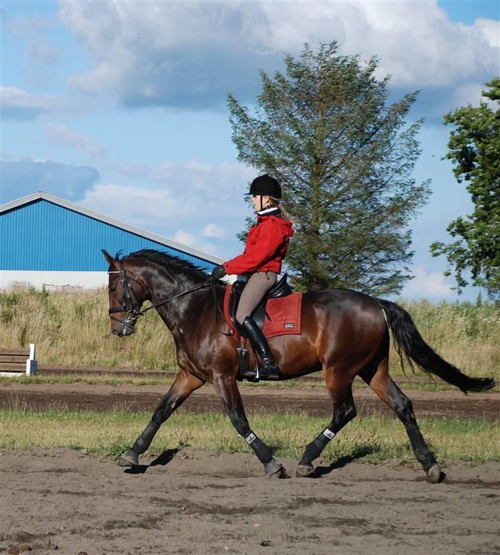 Oldenborg Oassis Helfin billede 7