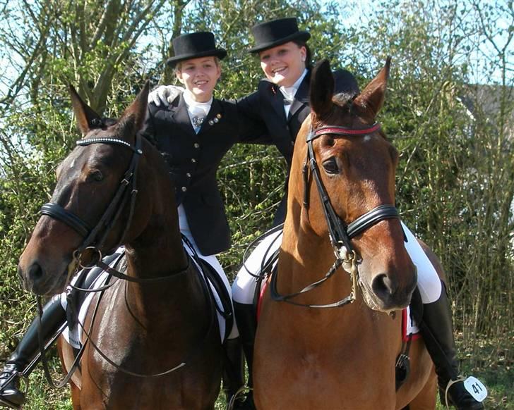 Oldenborg Oassis Helfin - Sammen med Rebecca og Zeus efter mb1 i Viborg :) billede 9