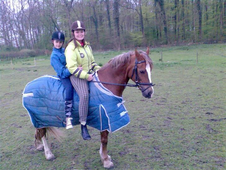 Anden særlig race Østergårdens Easy - solgt - min og sille på min dejlige Easy <333 billede 12