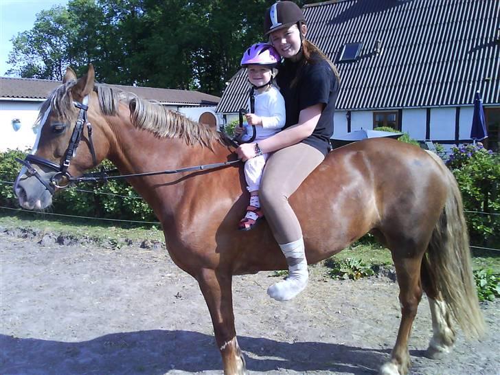 Anden særlig race Østergårdens Easy - solgt - min og mie på min Easy <3 billede 16