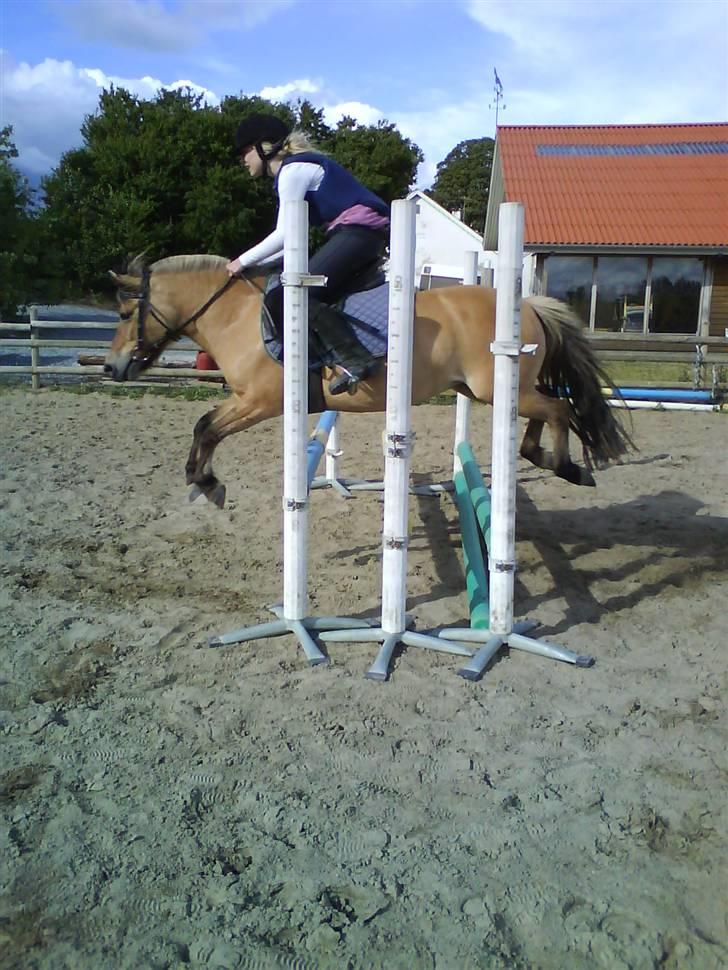 Anden særlig race Fanny - Fanny og jeg springer :) billede 9