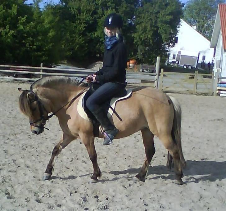 Anden særlig race Fanny billede 11