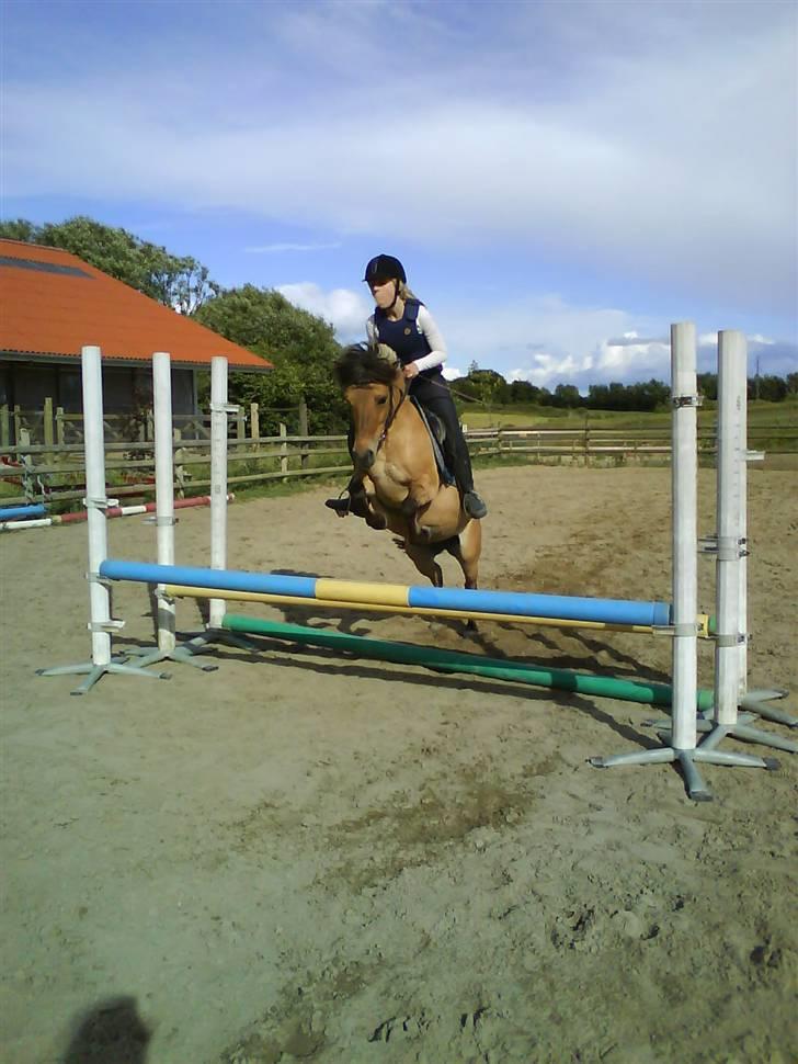 Anden særlig race Fanny - She´s amazing :) billede 12