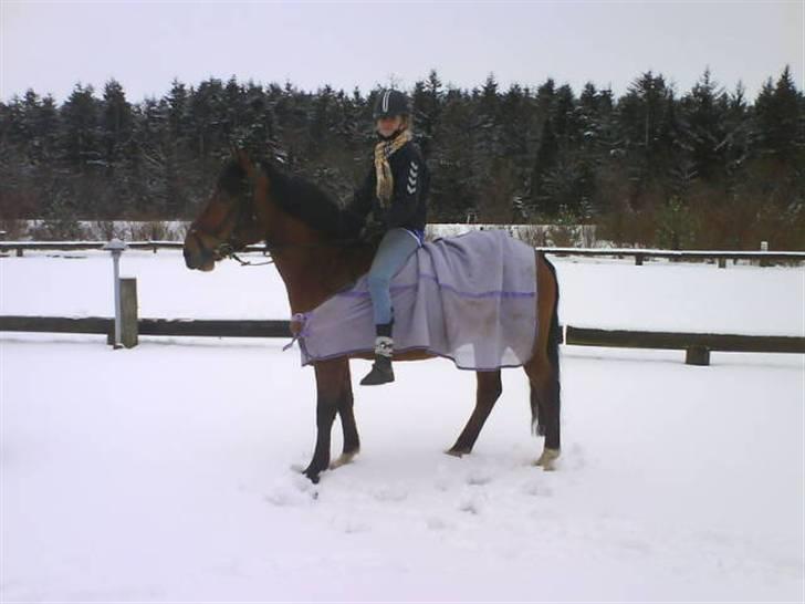 DSP Bæklunds Lorenzo solgt - i vinters, i sneen.. :D billede 16