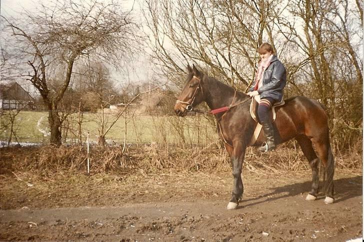 Anden særlig race Karina R.I.P. - Min mor & Karina billede 5