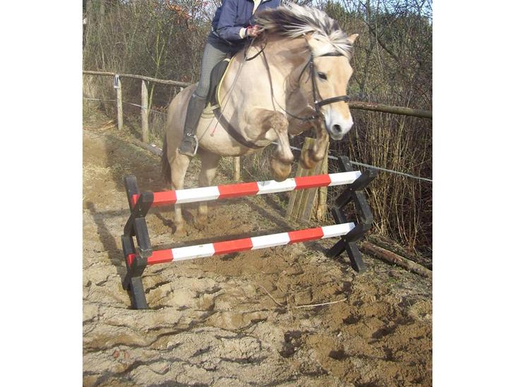 {{currentPhoto.altText}} billede {{currentPhoto.number}}