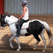 Anden særlig race Lucky Boy R.I.P :'( <3