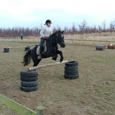 Anden særlig race Sprutnik 