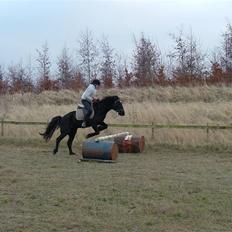 Anden særlig race Sprutnik 