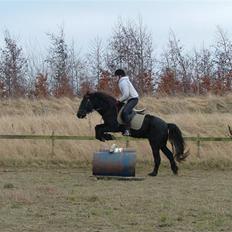 Anden særlig race Sprutnik 