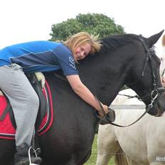 Dansk Varmblod Lady Hunter 