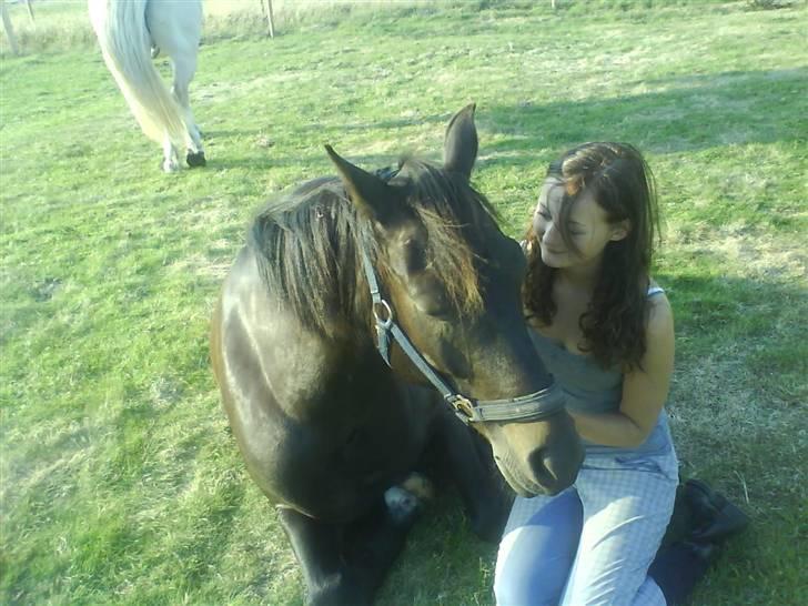 New Forest Amistar (gammel part) - Mig og Ami :) billede 1