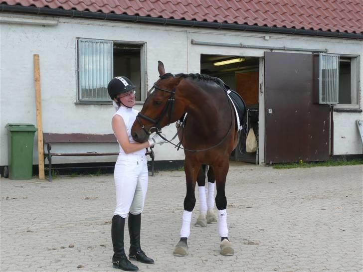 Dansk Varmblod Athene Birkedal - Elsker dette billede=) billede 8