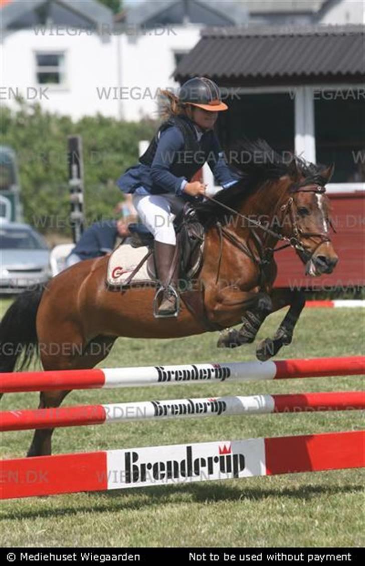 Anden særlig race juni venture billede 13