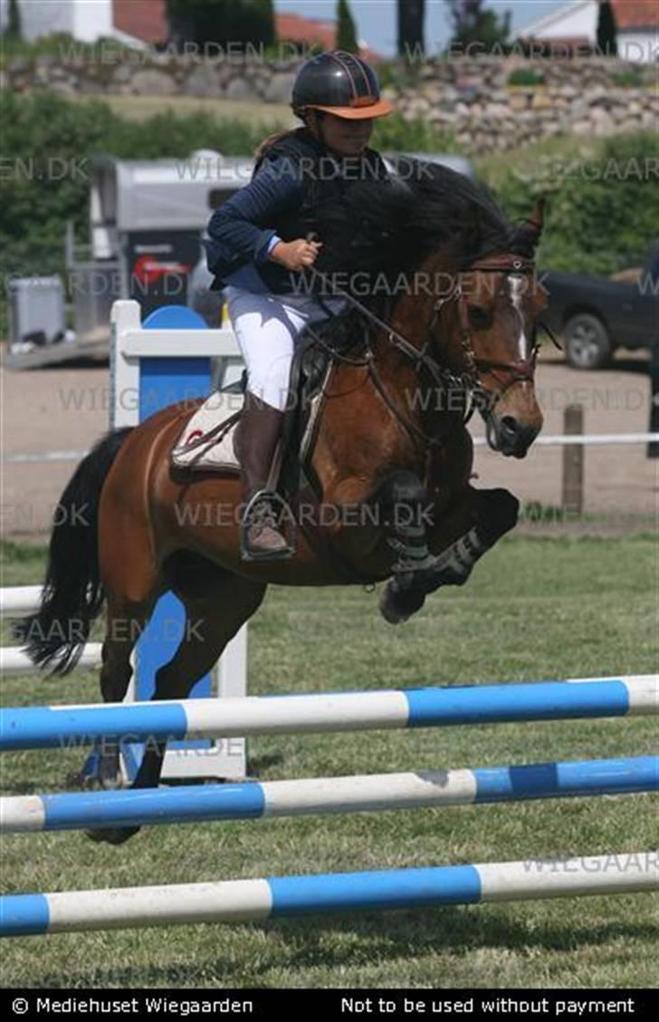 Anden særlig race juni venture billede 16