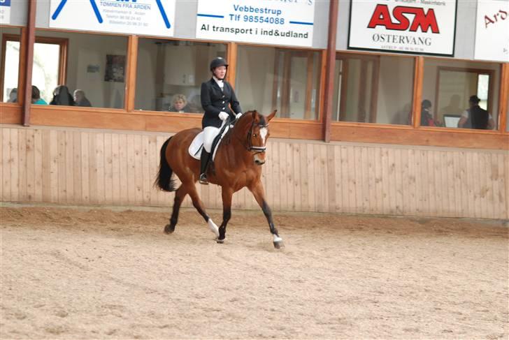 Westfaler Almeria 2 billede 5