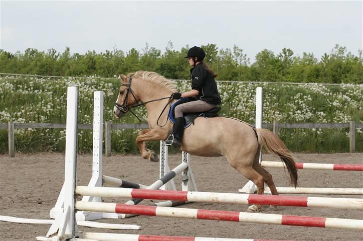 Anden særlig race nuggi - 15..  billede 15