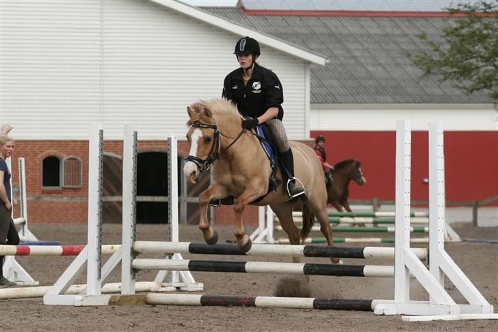 Anden særlig race nuggi - 16 billede 16