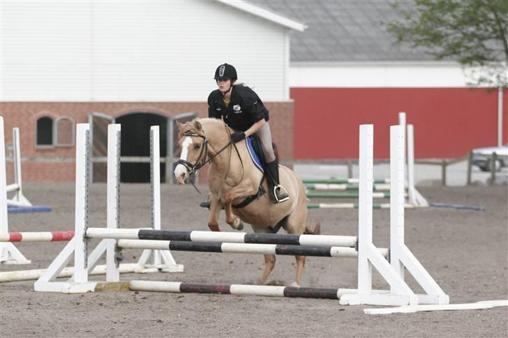 Anden særlig race nuggi - 18.. billede 18