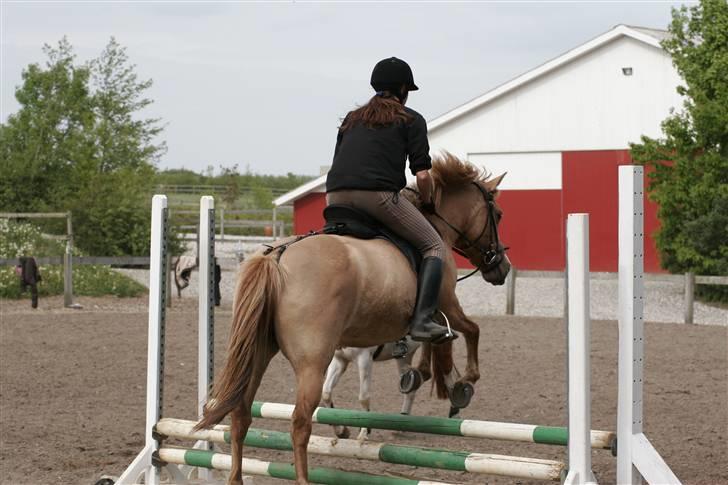 Anden særlig race nuggi - 19..  billede 19