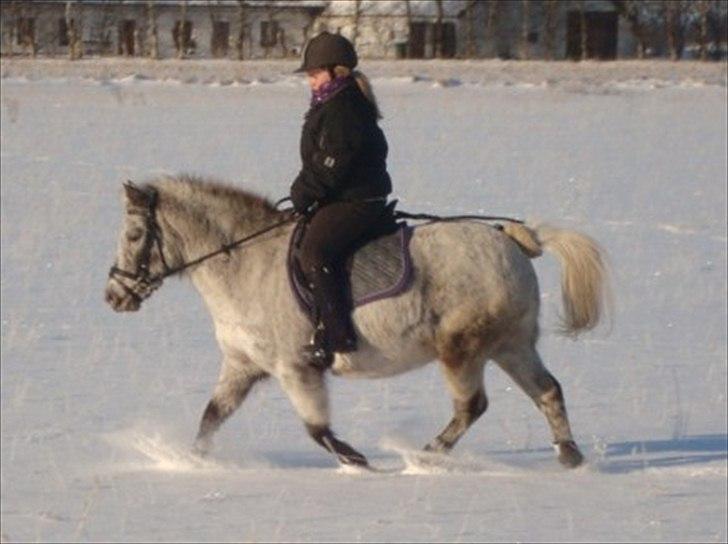 Anden særlig race Candy  - Emma & Candy i sneen d. 19.02.11  billede 6