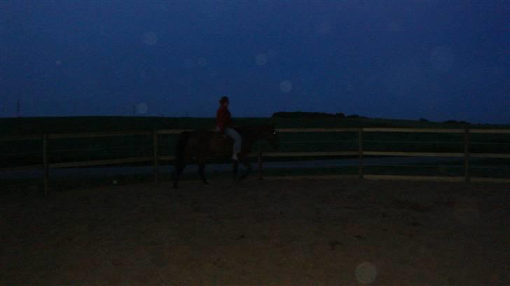 Traver Dandi R.I.P - Hyggestund i roundpenen. billede 17