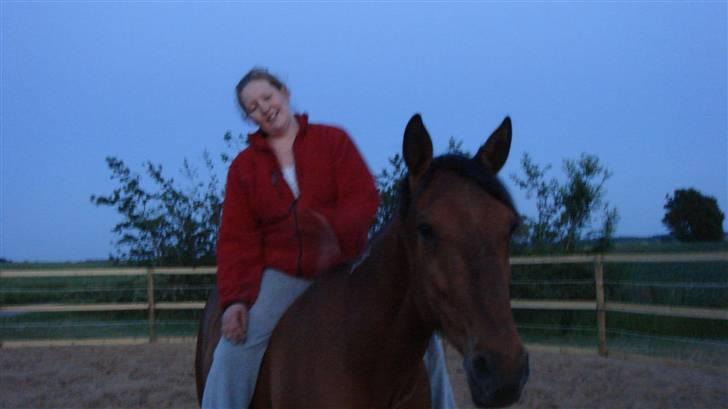 Traver Dandi R.I.P - Hyggestund i roundpenen. billede 18