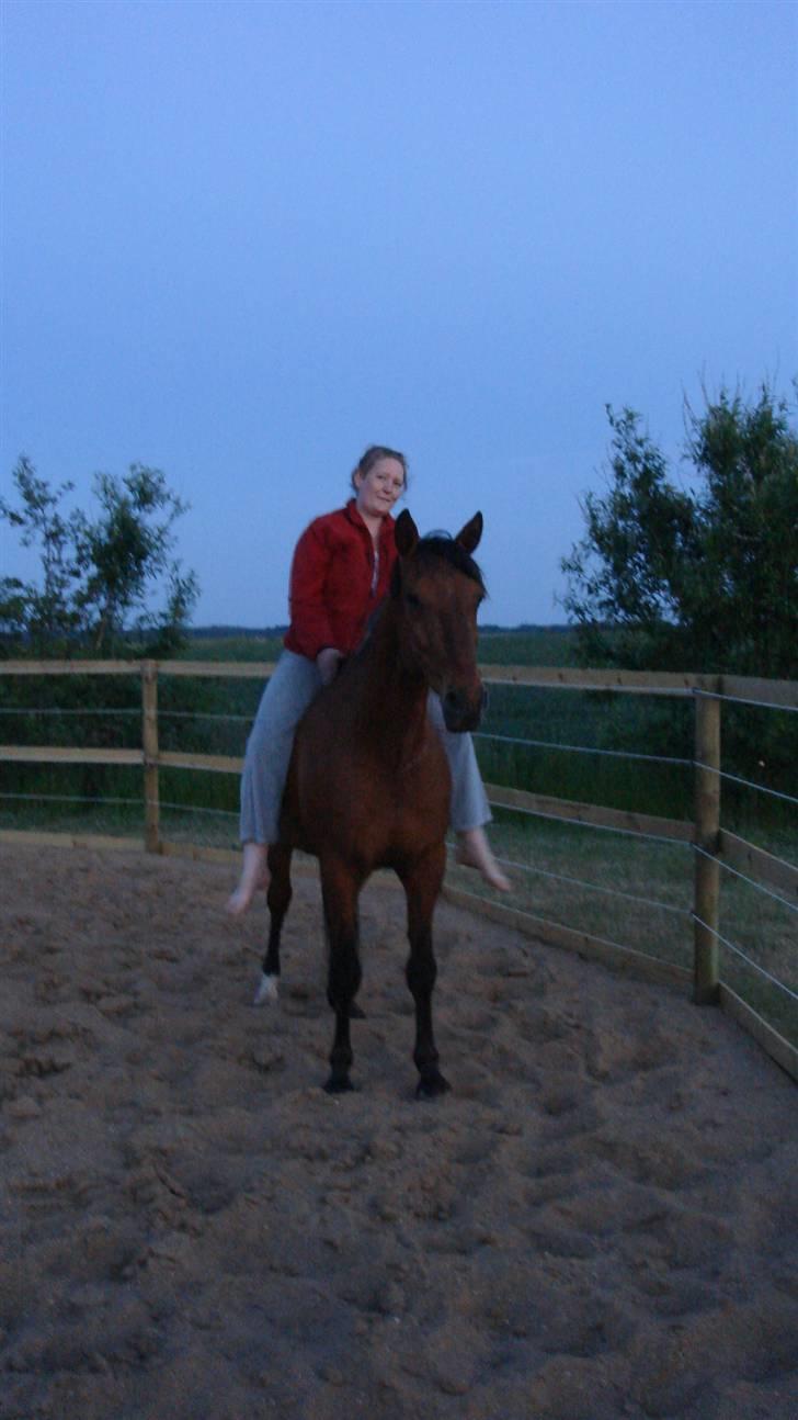 Traver Dandi R.I.P - Så er vi næsten natural, hehe. billede 19