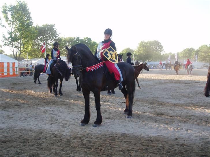 Frieser Bink - Show med SORT GULD på Roskilde dyrskue 2008 billede 8