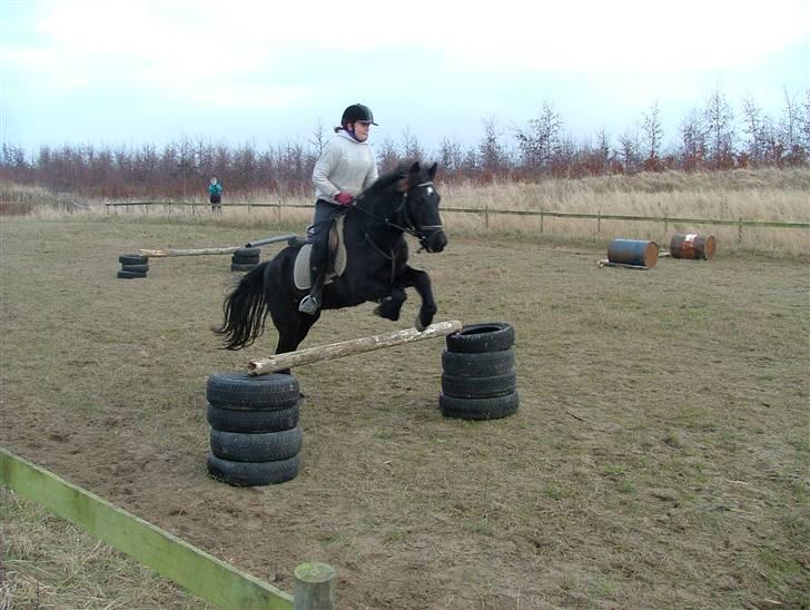 Anden særlig race Sprutnik  - Velkommen:) billede 1