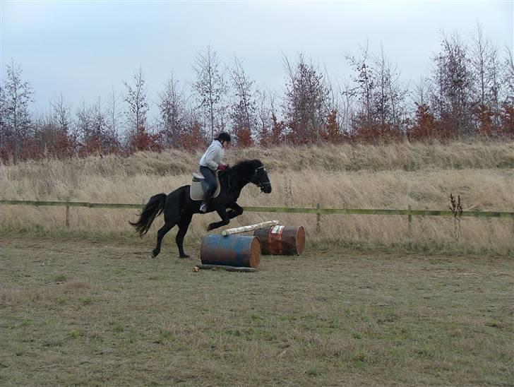 Anden særlig race Sprutnik  - Et lille spring:) Sprutnik og min søster Nanna billede 2