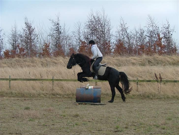 Anden særlig race Sprutnik  billede 3