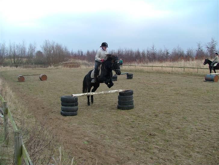 Anden særlig race Sprutnik  billede 4