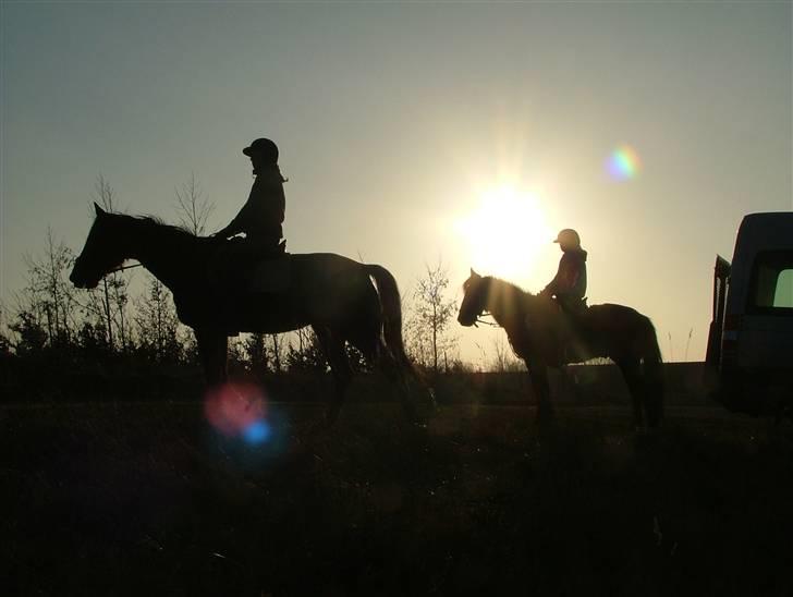 Anden særlig race Sprutnik  - Nanna og Sprutnik og mig og Roccazino billede 6