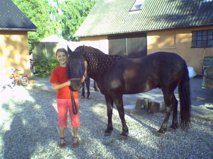 Anden særlig race Sprutnik  - Et par år siden:) billede 10