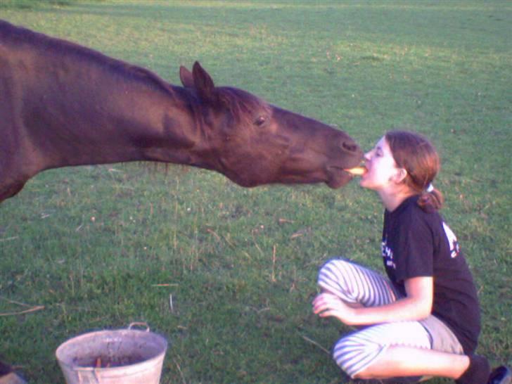 Anden særlig race Sprutnik  - Hygge på folden:) billede 12