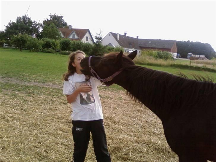 Anden særlig race Sprutnik  - Uh, der var en gulerod:) billede 15