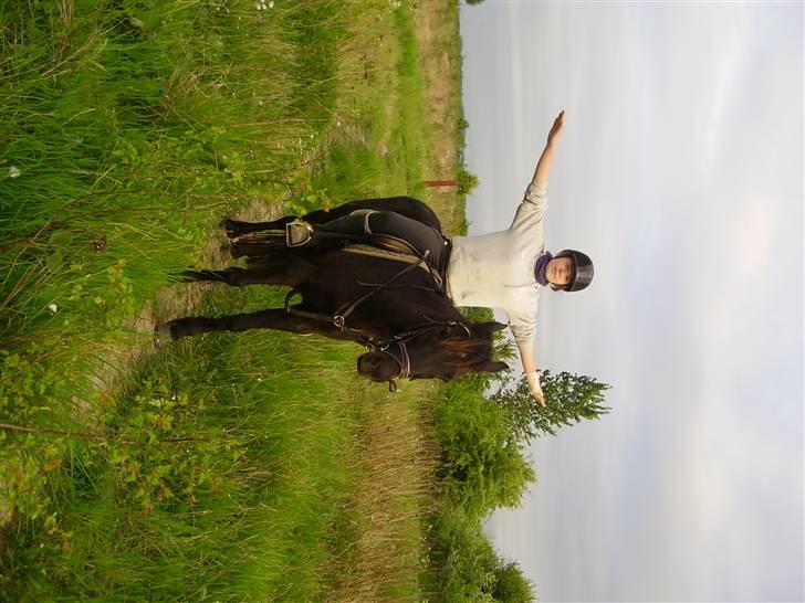 Anden særlig race Sprutnik  billede 17