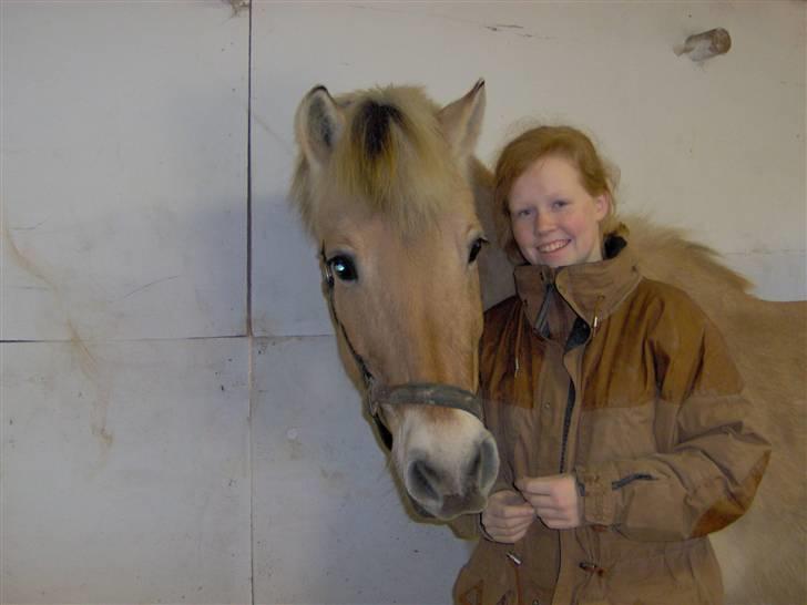 Fjordhest Aske *R.I.P - Himmelhest* - Aske & jeg, på Fuglebjerglund billede 13