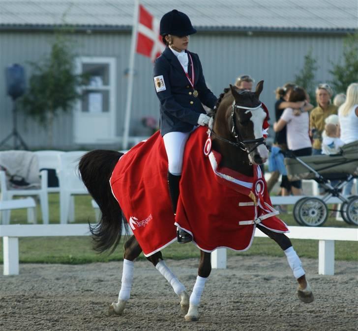 DSP Bonansa [ELITEHINGST] - æresrunde til DM 2009 <3 billede 2