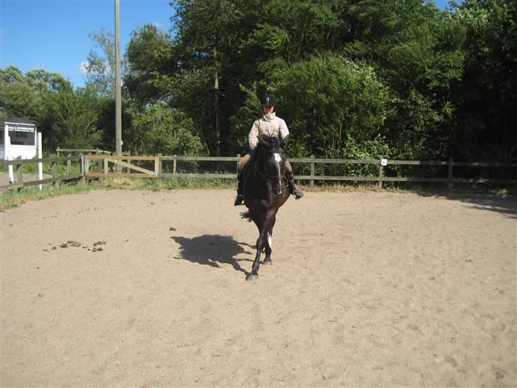 Oldenborg Samir - Schenkelvigning. (; *FOTO//MARIE* billede 20