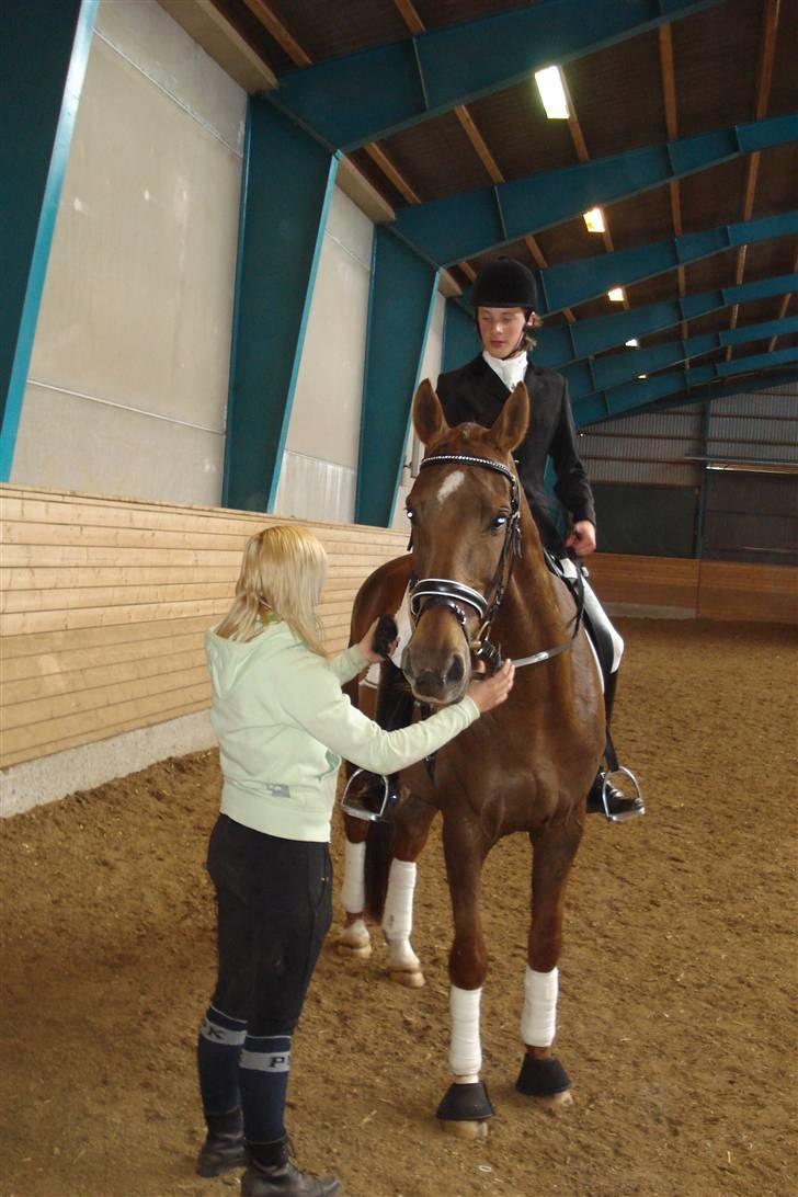 Dansk Varmblod Ellegaard's Chassé - Årrr så bliv dog færdig (tænker chassé) ;p billede 8