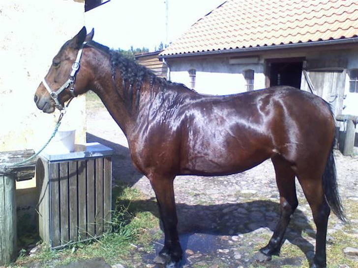 Traver **-<3Elli Star<3-** - uhh.... det var koldt! men nu ligner jeg jo et spejl så.... det er okay :-) billede 14