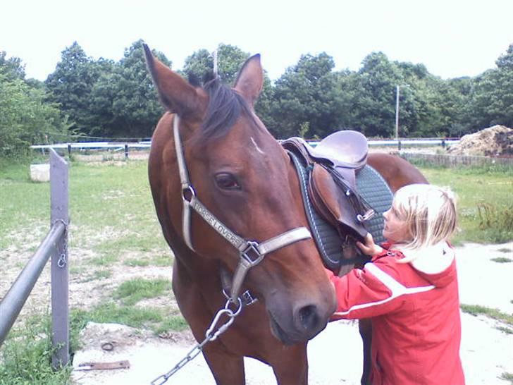 Traver **-<3Elli Star<3-** - NYT: nå, men øhh.... skal du noget i morgen??? "GLEM DET!!! ingen GUF nej..." jamen... jamen... århh glem det da! :-) billede 17